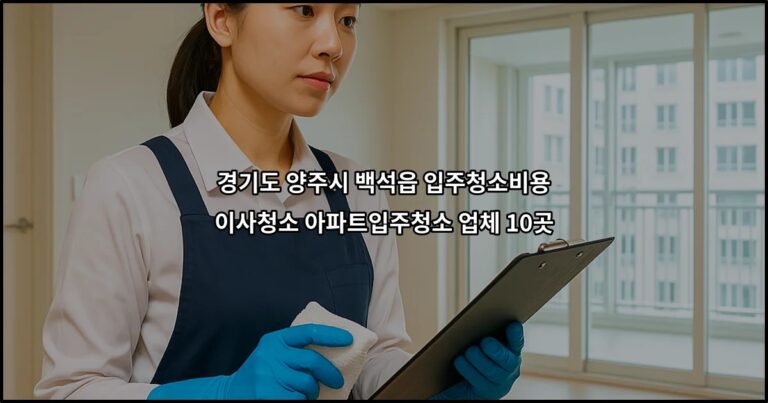 경기도 양주시 백석읍 입주청소비용 이사청소 아파트입주청소 업체 10곳