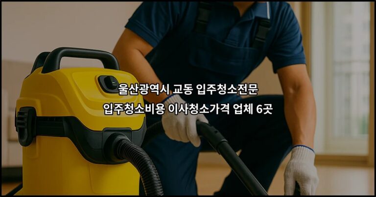 울산광역시 교동 입주청소전문 입주청소비용 이사청소가격 업체 6곳