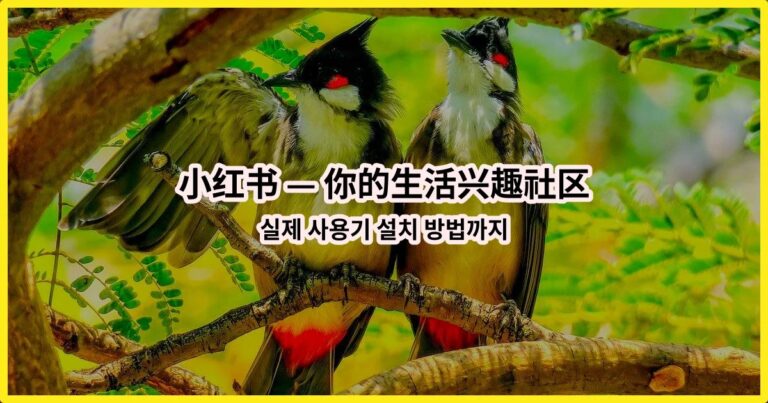 小红书 — 你的生活兴趣社区 실제 사용기 설치 방법까지