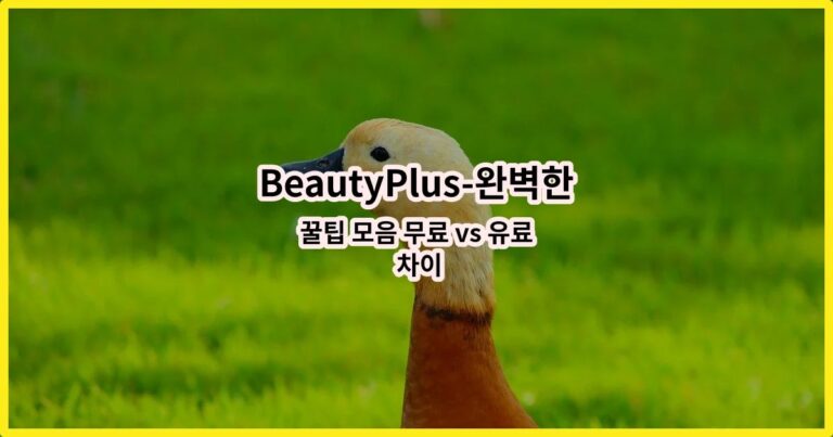 BeautyPlus-완벽한 사진 편집 어플 꿀팁 모음 무료 vs 유료 차이