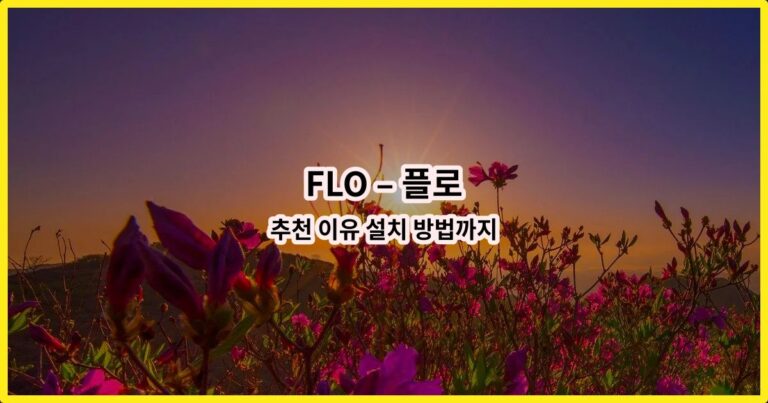 FLO – 플로 추천 이유 설치 방법까지