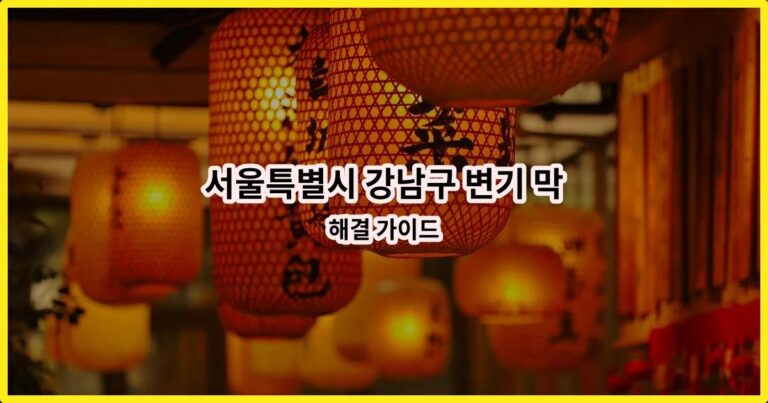 서울특별시 강남구 변기 막힘 해결 가이드