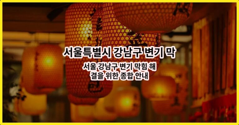 서울 강남구 변기 막힘 해결을 위한 종합 안내